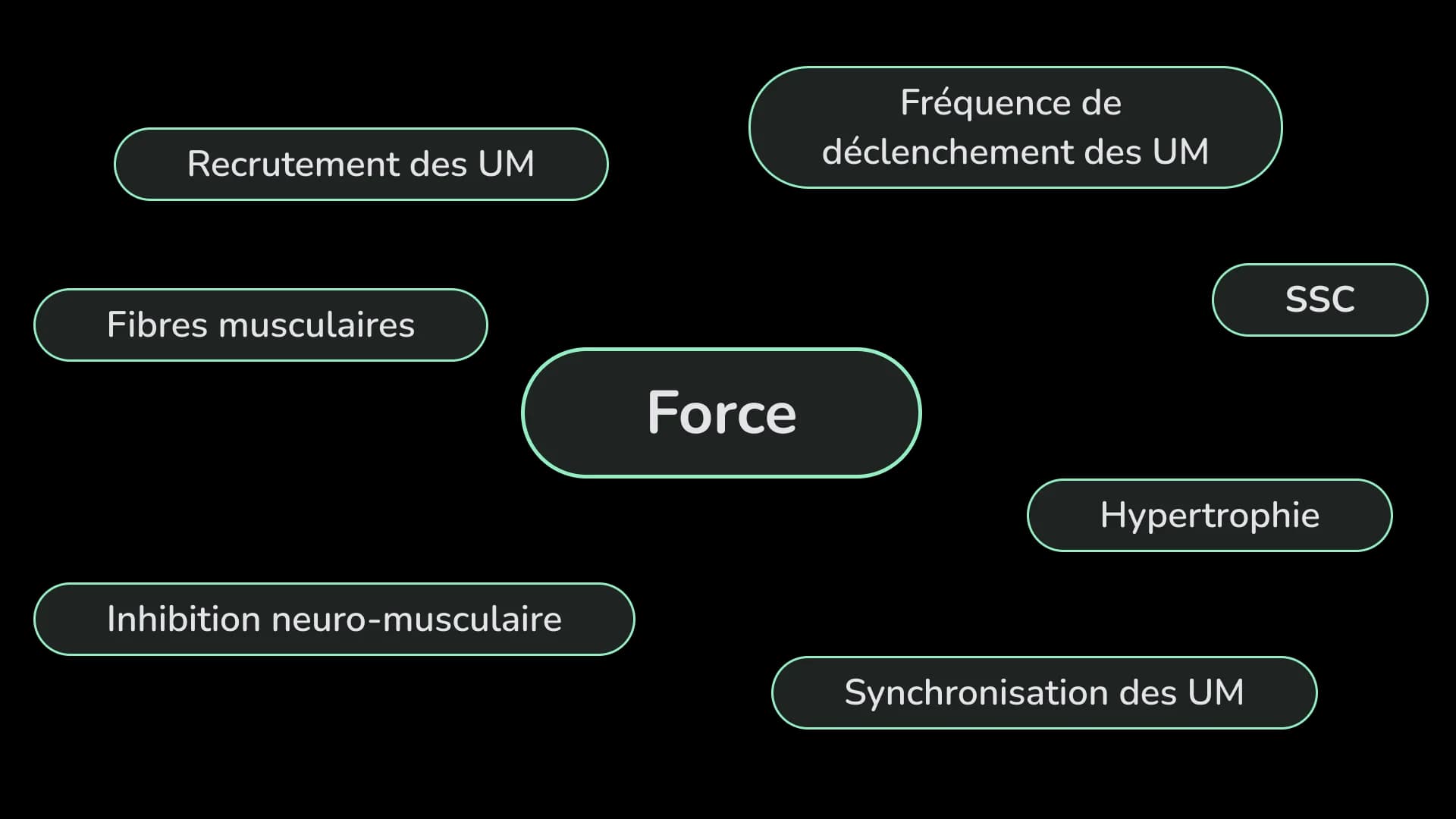 Illustration des facteurs physiologiques influençant la force maximale