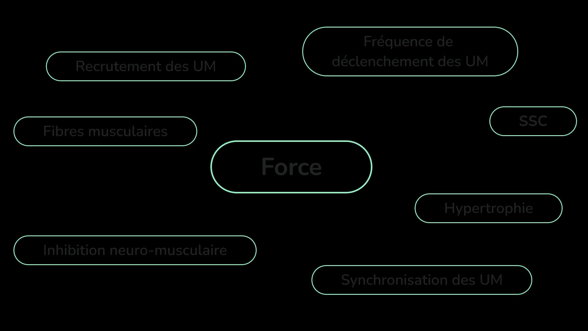 Illustration des facteurs physiologiques influençant la force maximale