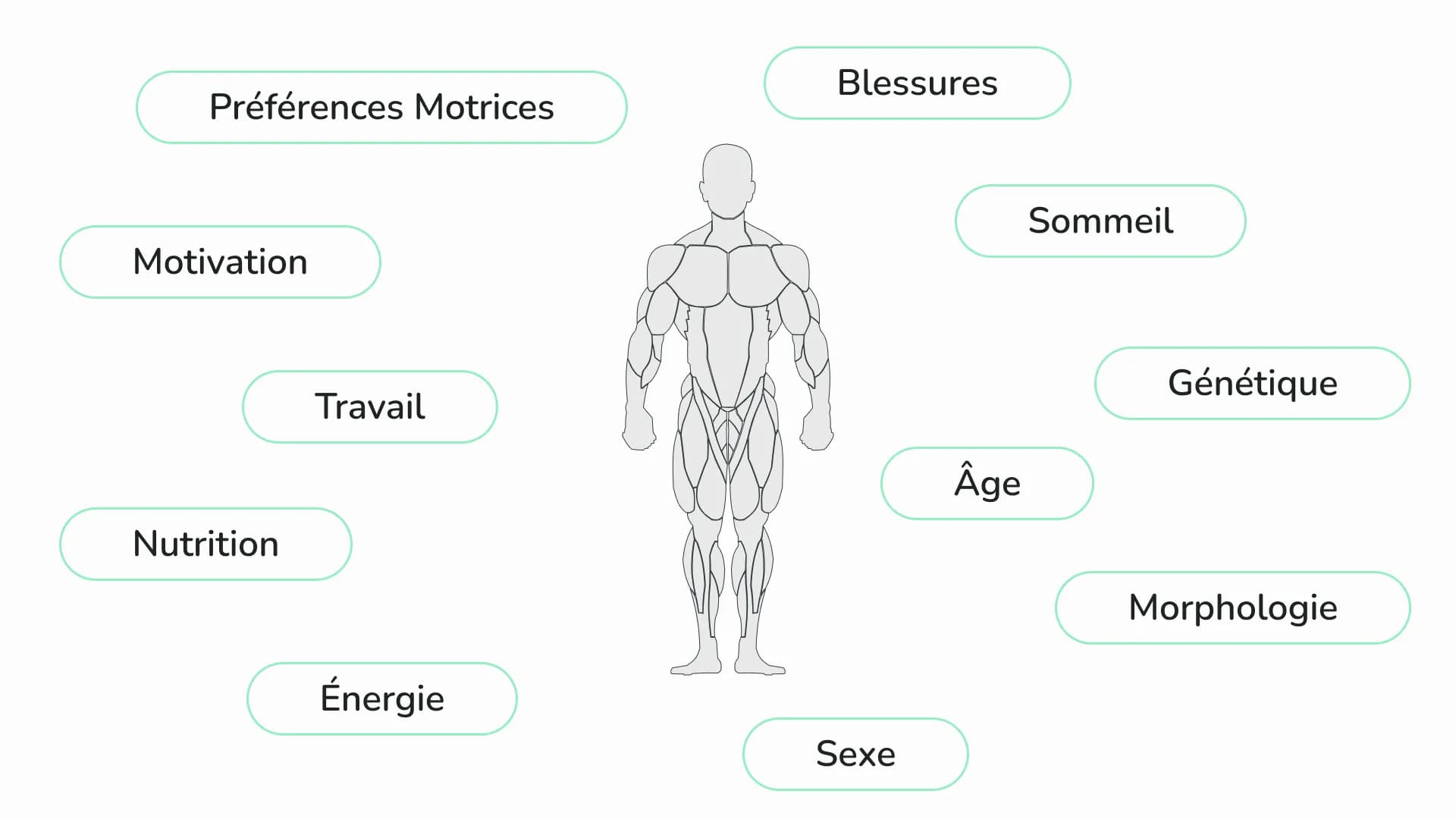 Illustration de l'individualisation de l'entrainement