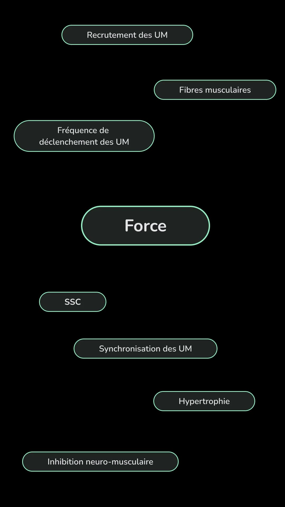 Illustration des facteurs physiologiques influençant la force maximale