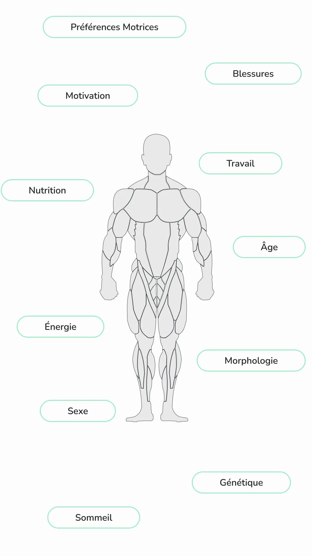 Illustration de l'individualisation de l'entrainement